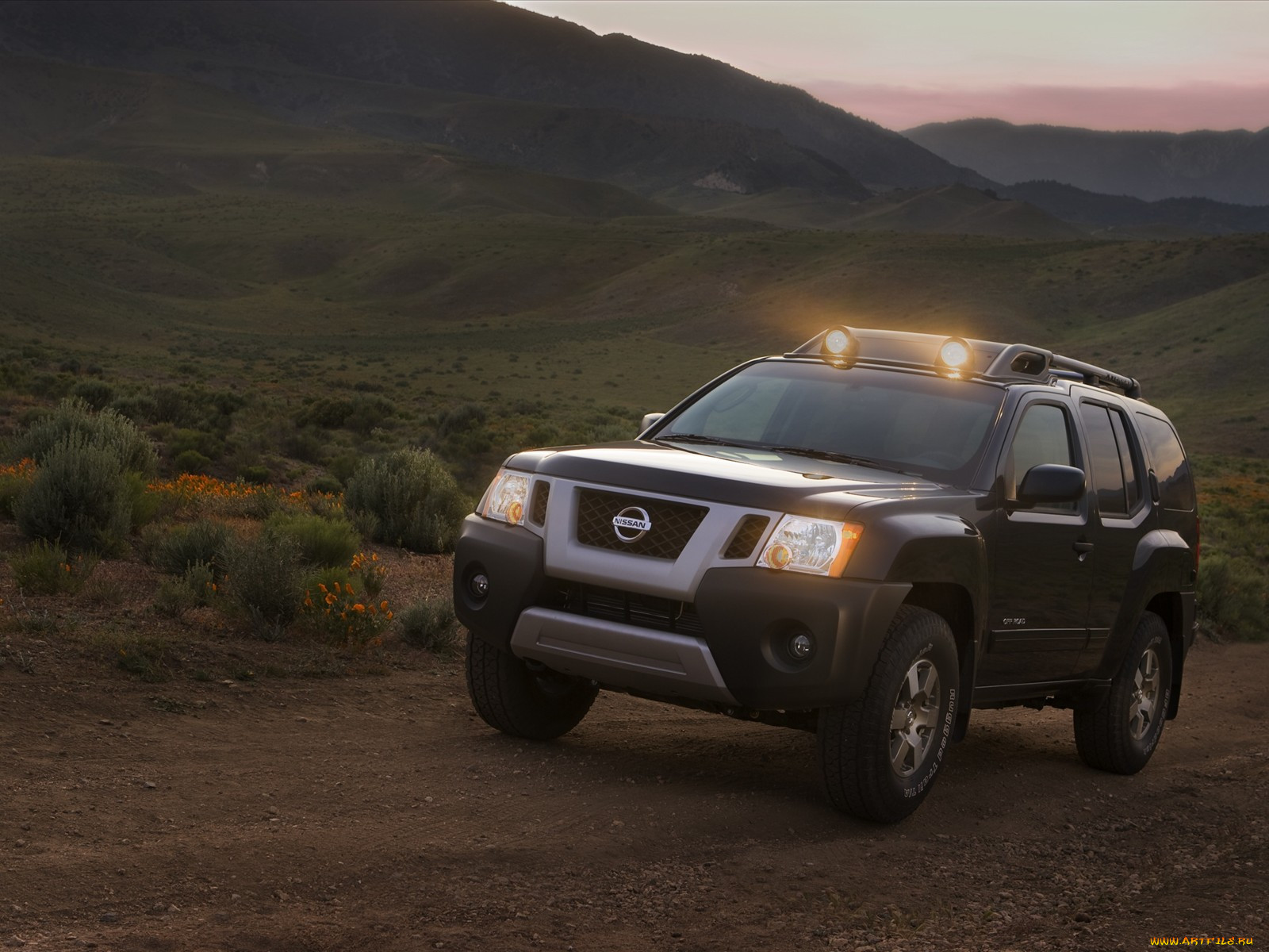 nissan, xterra, 2010, , datsun